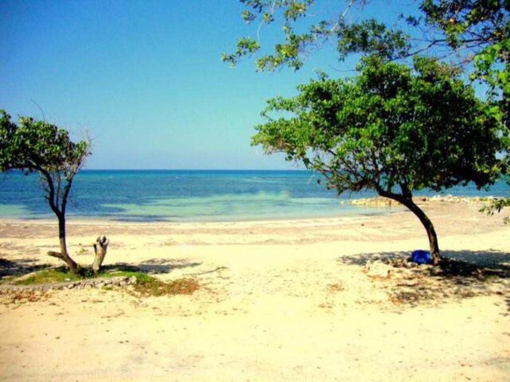 Seacastles By The Beach/Pool Montego Bay Ngoại thất bức ảnh